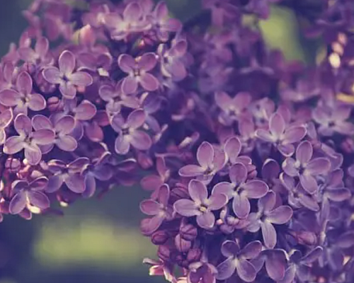 【天富注册】中医中药