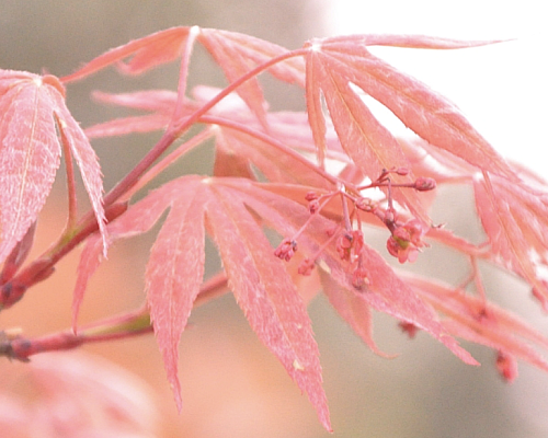【天富注册】中医文化