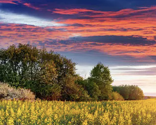 【天富注册】中医正骨