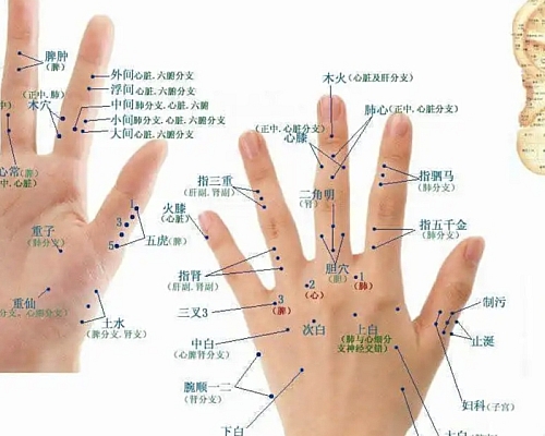 【天富注册】中医美容