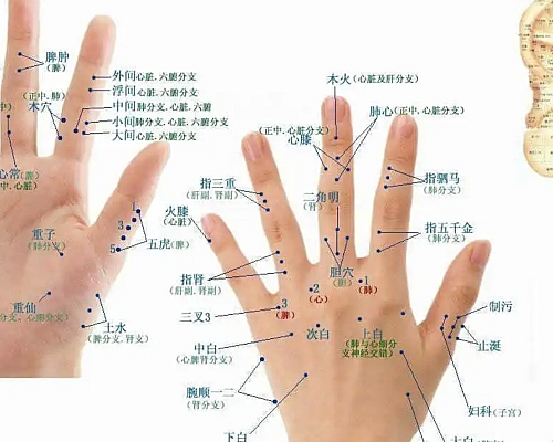 中医经络养生【天富注册】